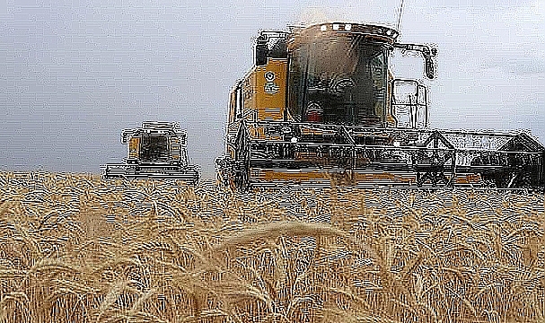 Yeni hububat ve bakliyat fiyatları belli oldu