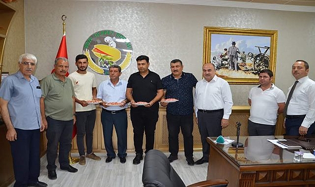 Yılın ilk mahsul kırmızı fıstığı pazara indi