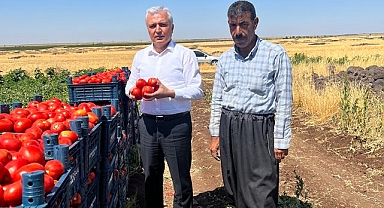 Abdulkerim Gök: Tarlada 3 lira markette neden 14 lira?