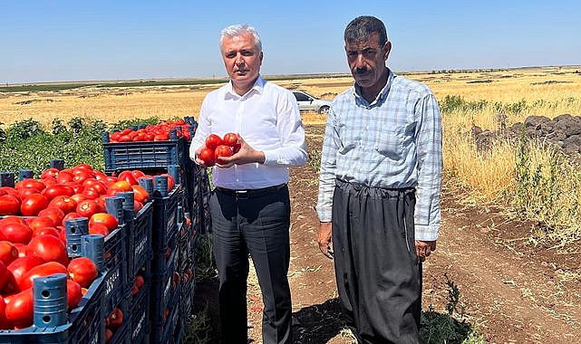 Abdulkerim Gök: Tarlada 3 lira markette neden 14 lira?