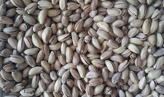 Antep fıstığı fiyatları belli oldu