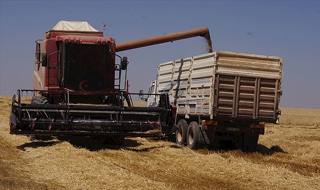 Buğday ve arpa fiyatları açıklandı! İşte yeni fiyat listesi