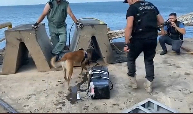Dev uyuşturucu operasyonu! 242 kilo kokain ele geçirildi