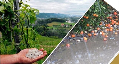 Doğal afet riski 5 kat arttı! İşte ortalama zarar