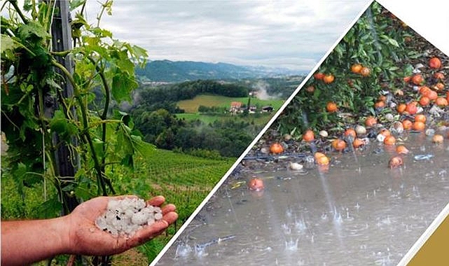 Doğal afet riski 5 kat arttı! İşte ortalama zarar