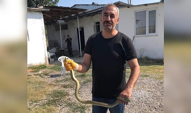 Evinde yakaladığı yılanı doğaya bıraktı