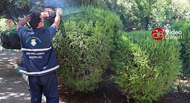 Haliliye’de parklar yaşam alanına dönüşüyor 