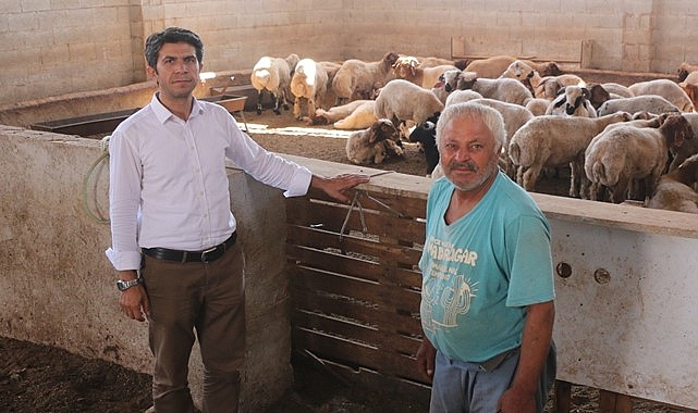 HÜDA PAR İl Başkanı: Canlı hayvan borsası kuralım