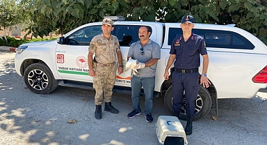 Jandarma yaralı halde buldu! Tedavi altına alındı