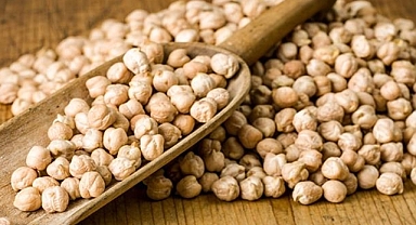 Nohutta yüksek rekolte bekleniyor