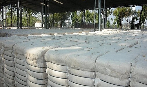 Pamuk fiyatlarında son durum: İşte yeni fiyatlar