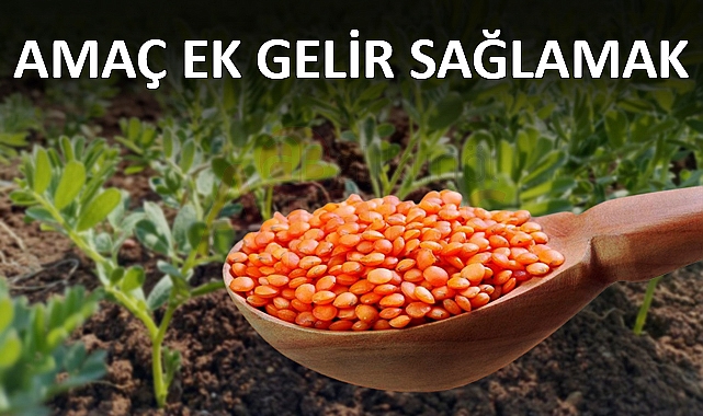 Şanlıurfa'da 40 milyon liralık projede maliyetin yarısı çiftçiden