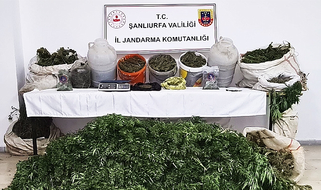 Şanlıurfa'da 50 kilo esrar ele geçirildi