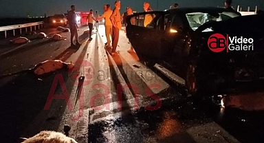 Şanlıurfa'da feci kaza! 25 koyun telef oldu 