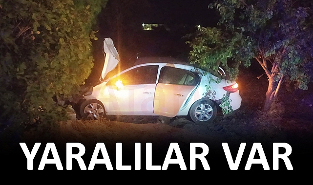 Şanlıurfa'da otomobil at sürüsüne çarptı