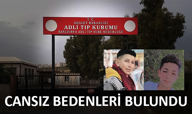 Şanlıurfa'da serinlemek için gölete giren kuzenler boğuldu