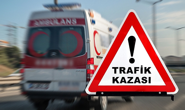 Şanlıurfa'da TIR'lar çarpıştı: 2 yaralı