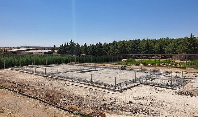 Şanlıurfa OBM tam otomasyonlu sera kuruyor