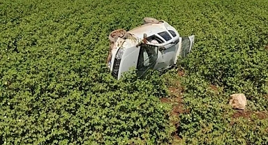 Suruç’ta tarlaya uçan araçta 5 kişi yaralandı