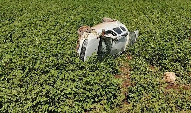 Suruç’ta tarlaya uçan araçta 5 kişi yaralandı