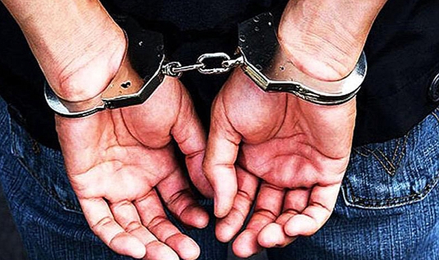 Urfa'da uyuşturucu operasyonu: 2 tutuklama 