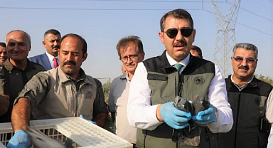 Vali Ayhan, tedavisi tamamlanan hayvanları doğaya saldı
