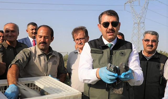 Vali Ayhan, tedavisi tamamlanan hayvanları doğaya saldı