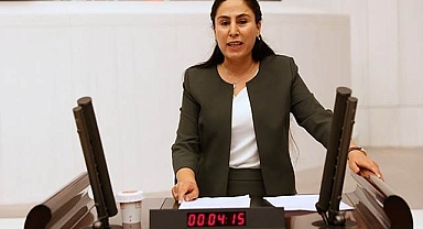 Vekil Ayşe Sürücü, hızlı treni sordu