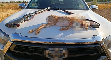 Yaban tavşanını avlayan avcılara para cezası kesildi