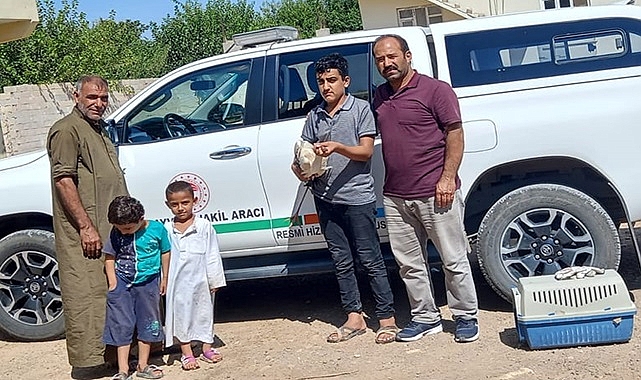 Yaralı halde bulunan leylek korumaya alındı