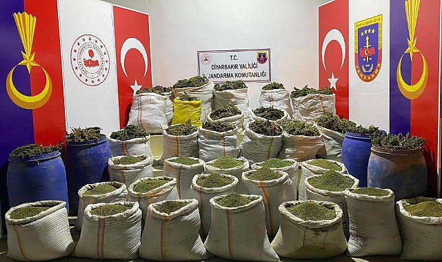10 milyon 497 bin kök kenevir ele geçirildi