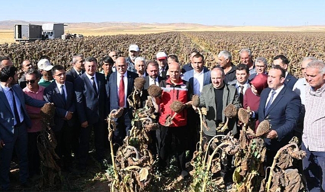 Bakan Kirişci ve Varank, "Ayçiçeği Hasadı" etkinliğine katıldı