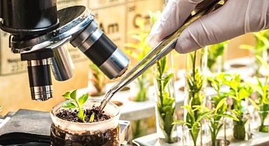 Bakanlık açıkladı: 2 binden fazla bitkisel ürün koruma altında