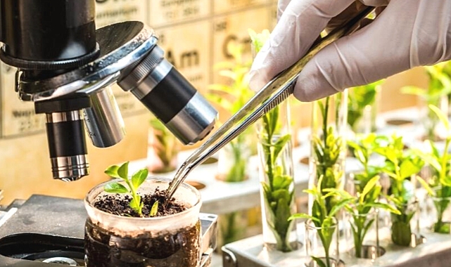 Bakanlık açıkladı: 2 binden fazla bitkisel ürün koruma altında