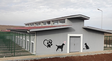 Büyükşehir'den sokak hayvanları için modern bir tesis daha