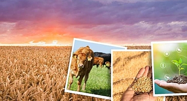 Çiftçinin beklediği destek ödemeleri hesaplara aktarılıyor