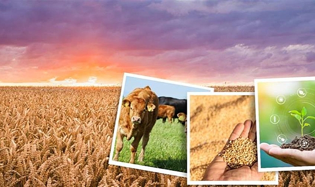 Çiftçinin beklediği destek ödemeleri hesaplara aktarılıyor