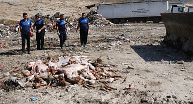 Haliliye’de tonlarca kokmuş et ele geçirildi