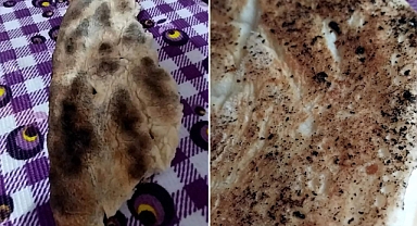 Hem kalitesiz hem pahalı ekmek tüketiyoruz 