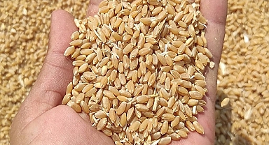 Hububat ve bakliyat fiyatları açıklandı