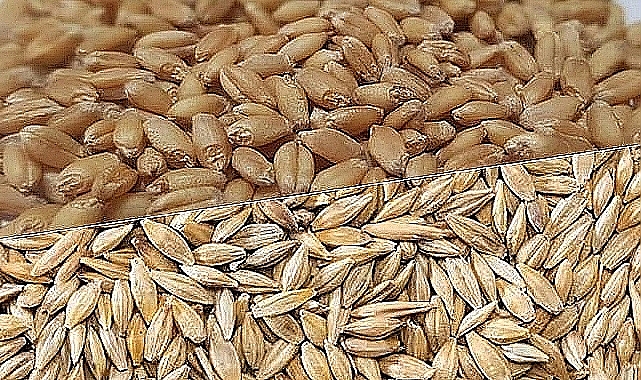 Hububat ve bakliyat fiyatları belli oldu