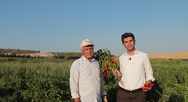 İl Başkanı Özaslan’dan Urfalı milyoner gençler proje önerisi