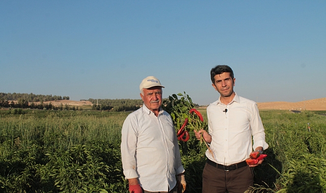 İl Başkanı Özaslan’dan Urfalı milyoner gençler proje önerisi