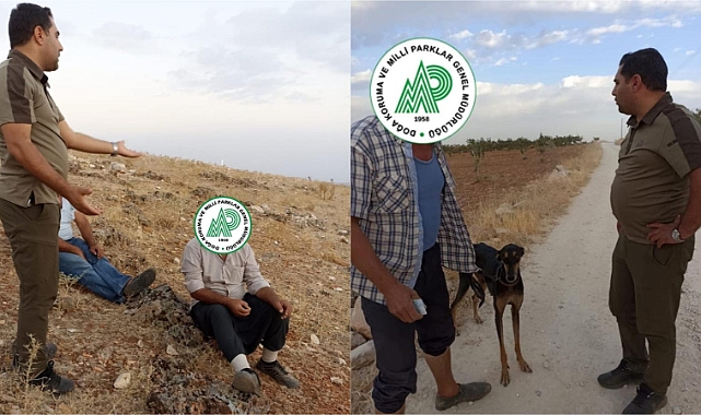 Kaçak avcılar suçüstü yakalandı