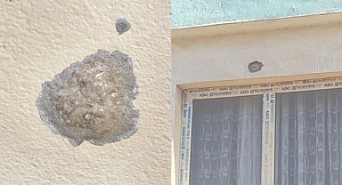 Şanlıurfa'da iki kardeşe kanlı pusu kuruldu