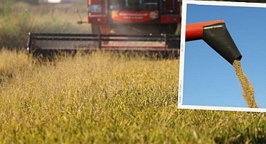 Türkiye’de çeltik üretimi kaç milyon tona ulaştı?