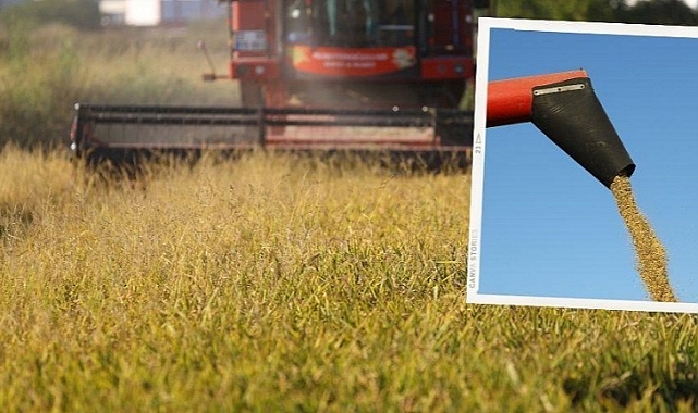 Türkiye’de çeltik üretimi kaç milyon tona ulaştı?