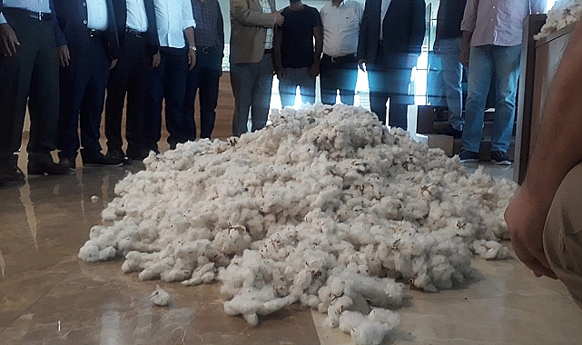 Urfa'da kütlü ve preseli pamuk fiyatı belli oldu