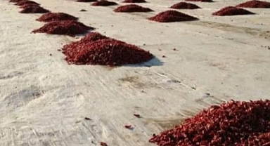 Urfa isotu bu sefer cepleri yakıyor!