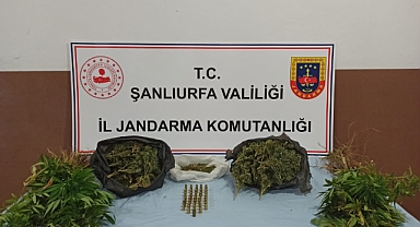 Urfa'nın iki ilçesinde uyuşturucu operasyonu